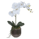 ARRANJO DE ORQUIDEA MALVA REF-51199-539