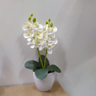ARRANJO ORQUIDEA X12 CORES SORTIDAS REF-46354-300