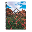 CADERNO EXPLORE 1X1 80 FOLHAS REF-948503