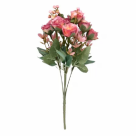 B. CAMELIA X13 CREME ROSA OUTONO 31CM REF-27406003