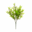 BQ PICK FOLHAS DE BAMBOO X5 VERDE REF-35626-004