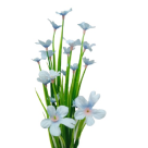 BQ PRIMOROSA X5 AZUL REF-49125-001