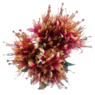 B. LIRIO MINI X18 MARSALA OUTONO CREME 32CM REF-42989008