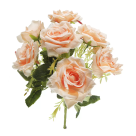B.ROSA CABBAGE MICROP X6 ROSA 2T 39CM REF-42347012