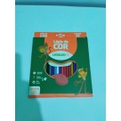 LAPIS 24 CORES RESINA REDONDO REF-4487