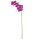 H. ORQUIDEA PHALAENOPSIS REAL TOQUE X9 RO REF-43104006