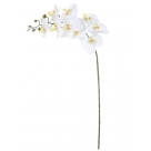 H.ORQUIDEA PHALAENOPSIS REAL TOQUE X9 BR  REF-42493002