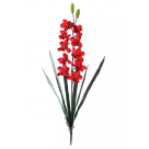H.ORQUIDEA CYMBIUM CELTIM X10 VERMELHO REF-00801006