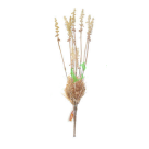 B.LAVANDA C/POWDER PLT X15 CREME 43CM REF-42594007
