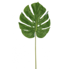 C.FOLHA COSTELA DE ADAO REAL TOQUE VERDE REF-36239001