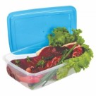POTE RETANGULAR 4 LITROS REF-127 ERCA PLAST