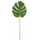 C.FOLHA COSTELA DE ADAO REAL TOQUE VERDE 84CM