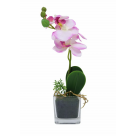 H.ORQUIDEA PHALAENOPSIS C/VASO X5 CORES REF-36686001