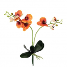 H.ORQUIDEA PHALAENOPSIS C/FOLHA REAL TOQ REF-42507003