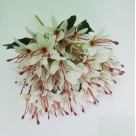 B.LIRIO MINI X18 BRANCO OUTONO 32CM REF-42989010