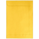ENVELOPE CURRICULUM 229X324 DOURADO REF-210218