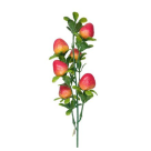 HT FRUTAS MORANGO FRUTA REF-49146861