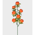 HT FRUTAS LARANJA REF-49146015