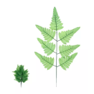 SAMAMBAIA VERDE CLARO REF-16344-003