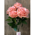 BQ ROSA SALMAO REF-40907011