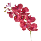 HT ORQUIDEA 3D EM PVC MALVA REF-46406539