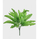 BQ SAMAMBAIA VERDE REF-49110-004