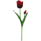 HT TULIPA CETIM VERMELHO REF-43611009