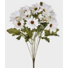 BQ MARGARIDA CREME REF-40807010