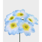 BQ DALIA GD AZUL REF-29357001