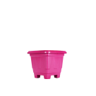 VASO QUADRADO Nº0 CITRUS COD10573 REF-241