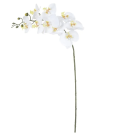 HT ORQUIDEA 3D X9 BRANCO REF-46401008