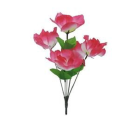 BQ DALIA X5 GD SALMAO REF-29357011