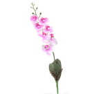H. ORQUIDEA PHALAENOPSIS REAL TOQUE C/ FOLHA X7 BEAUTY 45CM REF-31997005
