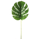 C. FOLHA COSTELA DE ADAO REAL TOQUE VERDE 35CM REF-36233001