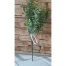 F. FOLHA C/ POWDER PLT X35 VERDE 36CM REF-42198001