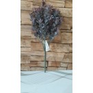 F. FOLHA C/ POWDER PLT X35 VERDE BEAUTY 36CM REF-42198003