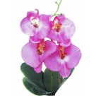 H. ORQUIDEA PHALAENOPSIS C/ FOLHA CETIM X4 BEAUTY 33CM REF-10209003