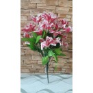 B. LIRIO X24 ROSA 51CM REF-42221001
