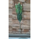 F. PICK CACTO C/ POWDER X5 VERDE 27CM REF-36674001