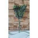 F. EUCALIPTO PLT X15 VERDE 26CM REF-11425002