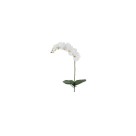 H. ORQUIDEA PHALAENOPSIS REAL TOQUE X7 BRANCO 53CM REF-32835001