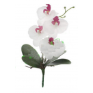 H.ORQUIDEA PHALAENOPSIS C/ FOLHA CETIM X4 BRANCO VERMELHO 33CM  REF-10209005