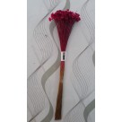 SEMPRE VIVA ROSA 34CM REF-59851