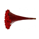 SEMPRE VIVA VERMELHO 34CM REF-59607