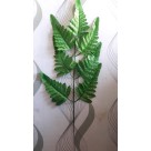 C. FOLHA SAMAMBAIA X7 VERDE 47CM REF-41618001