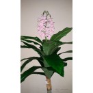 A. FLOR X17 ROSA CLARO 1,1M REF-42727002