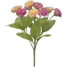 BQ CRISANTEMO X5 LAVANDA REF-51269031