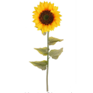 HT GIRASOL CETIM AMARELO REF-49088005