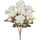 BQ DALIA SORTIDA X5 CREME REF-51418010