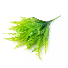 BQ FOLHA SAMAMBAIA X18 VERDE REF-36053004